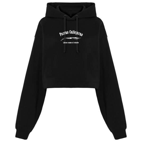 Sudadera CROP TOP Oversize Bordada